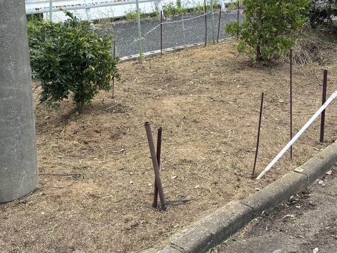 作業後の状態（After）