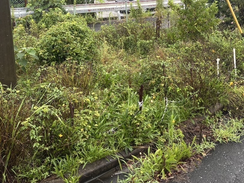 作業前の状態（Before）