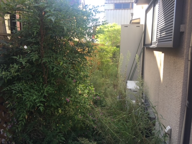 建物脇の通路の草刈り作業事例｜雑草・樹木を除去して通りやすい状態へ改善
